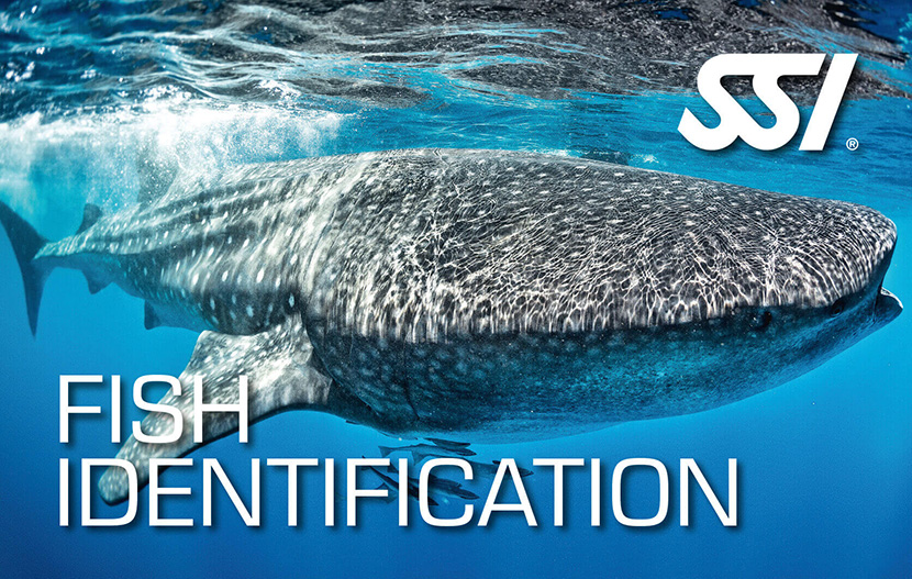 SSI Fish Identification