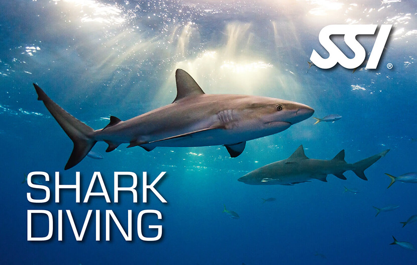 SSI Shark Ecology
