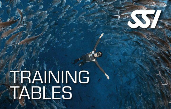 TÉCNICAS DE TREINO - FREEDIVING / APNEIA